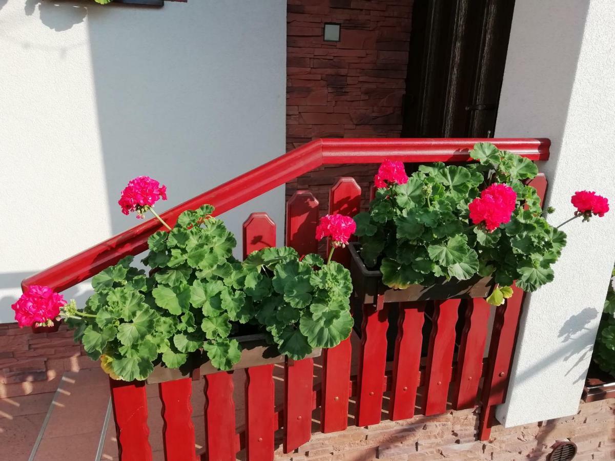 فيلا Privat Kovacova Žiar المظهر الخارجي الصورة